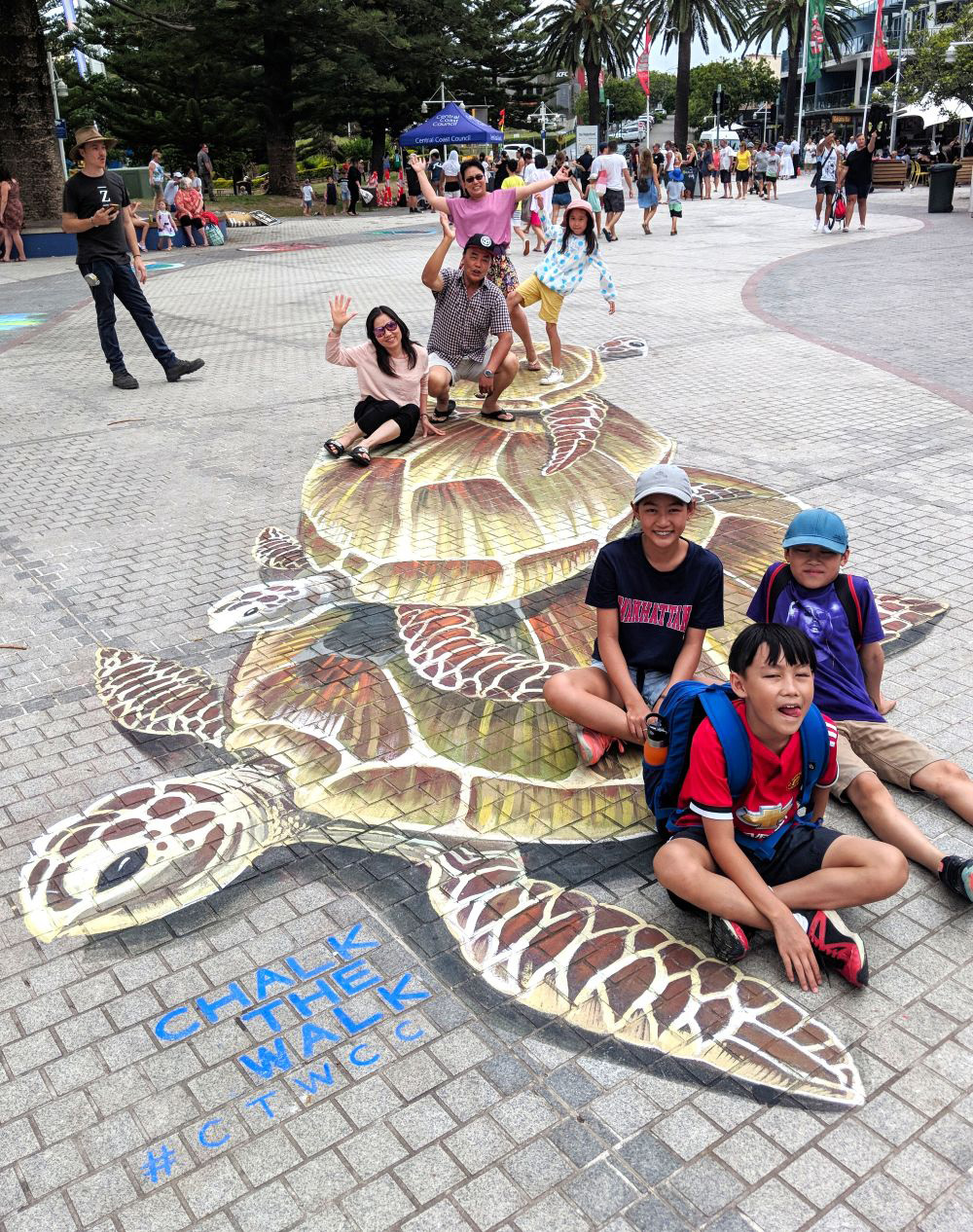 3D Chalk Art Turtle